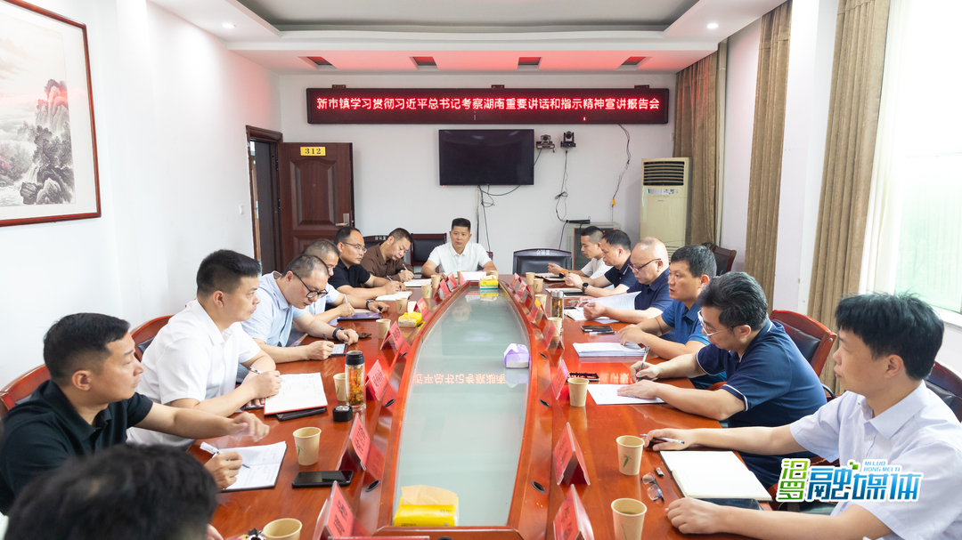市领导宣讲团到新市镇宣讲习近平总书记考察湖南重要讲话和指示精神