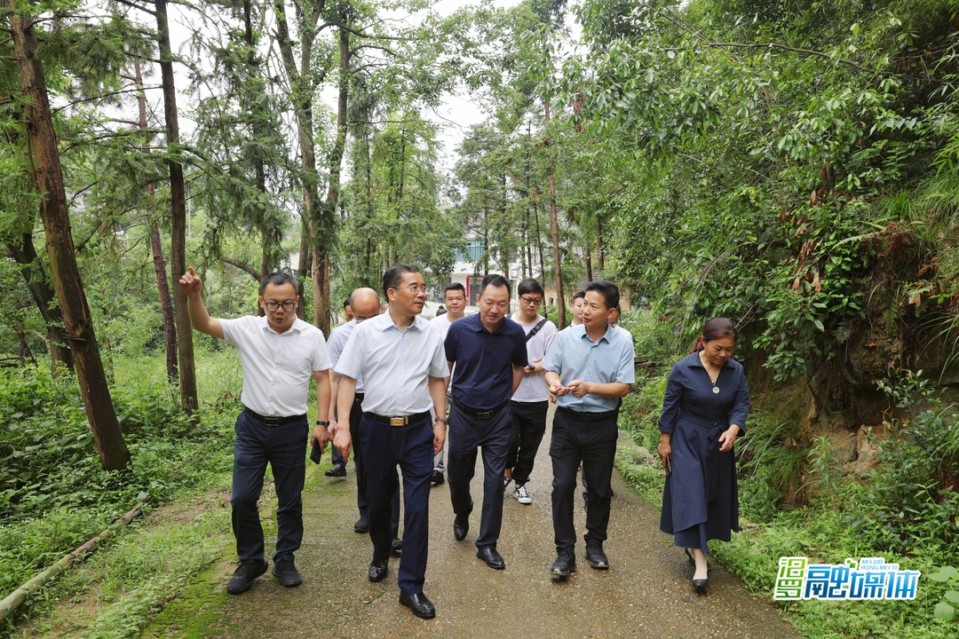 李劲松来汨罗开展巡林工作 调研任弼时纪念馆