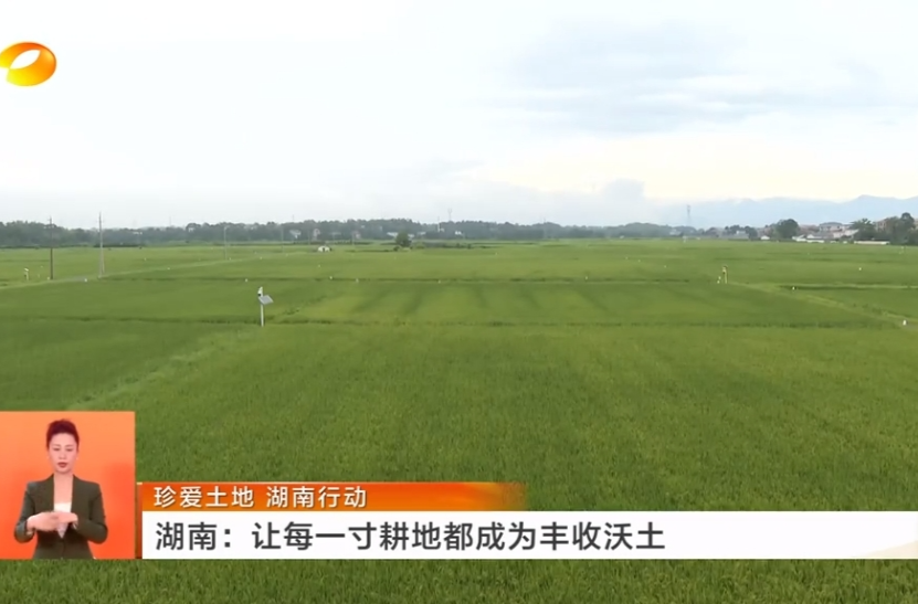 【湖南卫视】珍爱土地 湖南行动 湖南：让每一寸耕地都成为丰收沃土