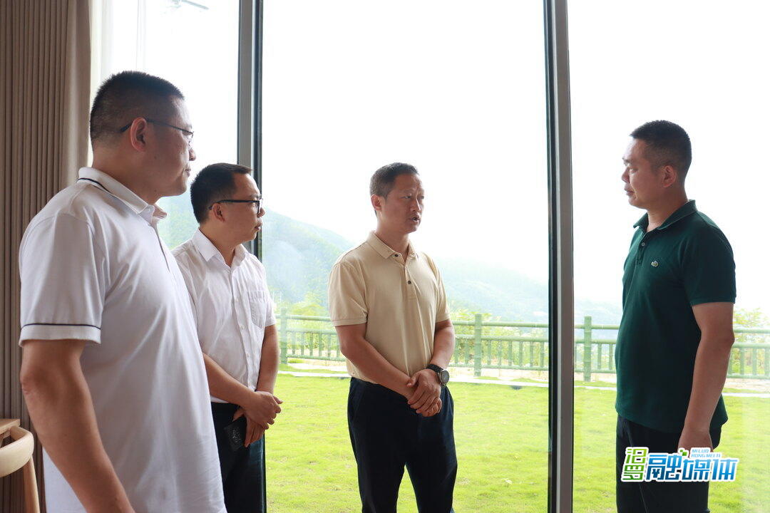 林恒求调研文旅产业发展
