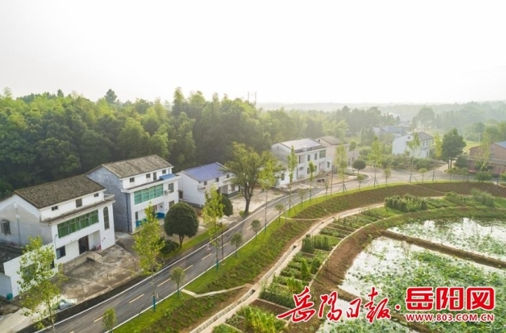 【学习强国】乡村振兴丨汨罗西长：奏响和美乡村幸福曲
