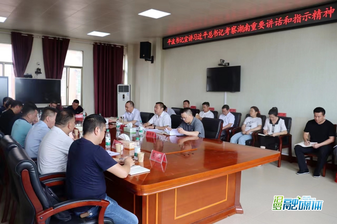朱平波宣讲习近平总书记考察湖南重要讲话和指示精神并调研
