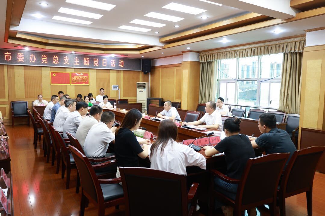 朱平波参加市委办党总支主题党日活动