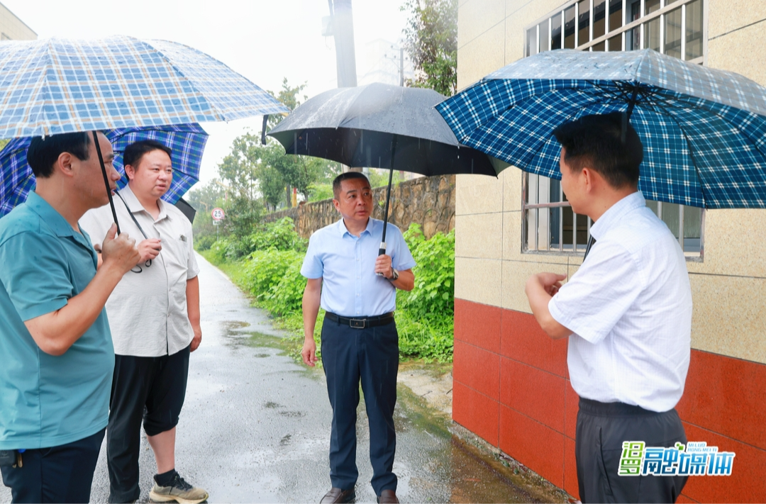市领导分赴各镇督查指导防汛工作 压实责任 严密防范 精准应对