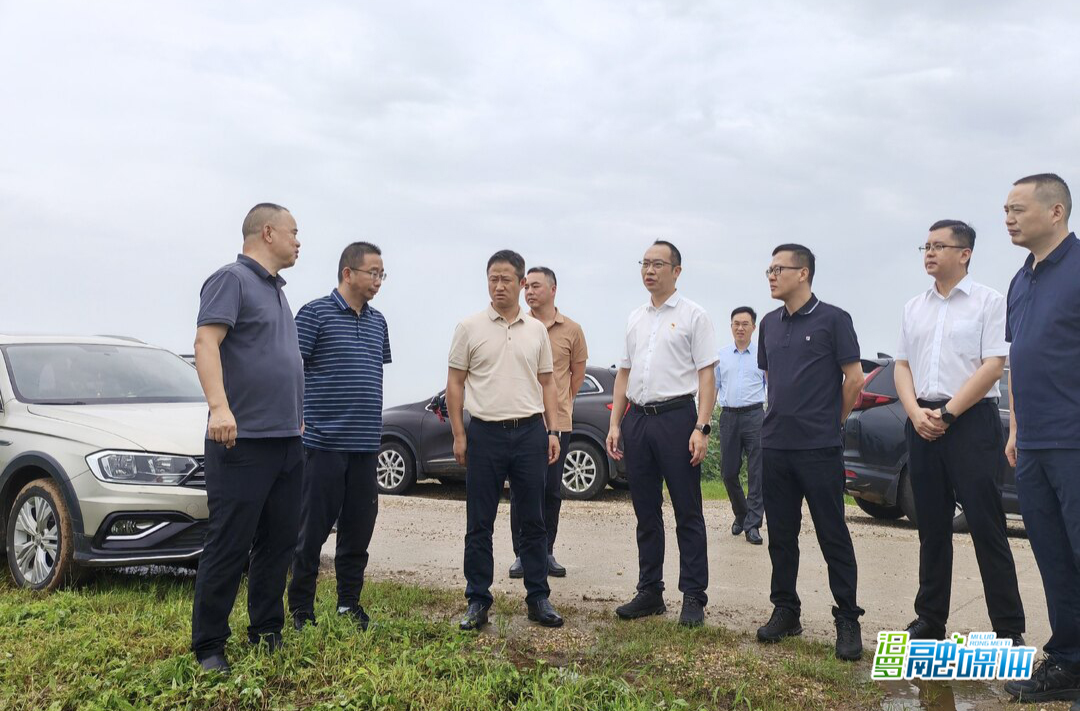 林恒求带队督导白塘镇防汛工作