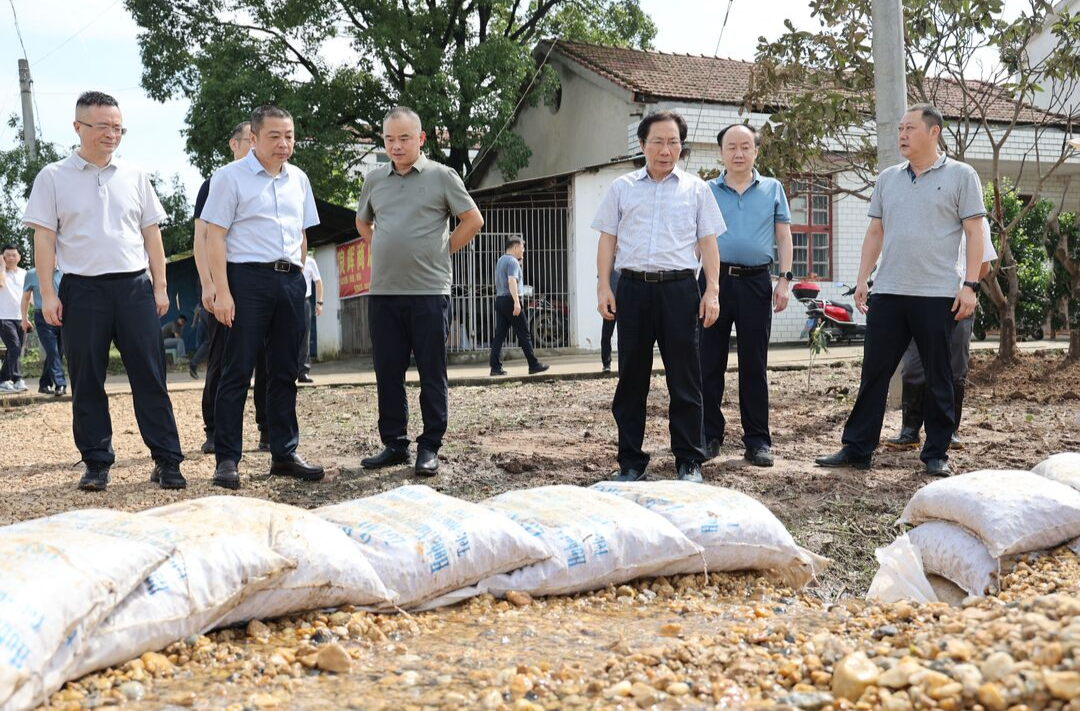 压紧压实责任 确保安全度汛  黎作凤等督导汨罗垸区防汛救灾工作
