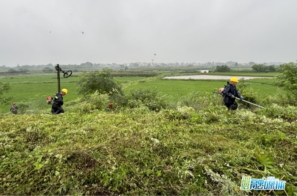 【新湖南】汨罗白塘镇：一群人一条心，共同守护平安家园