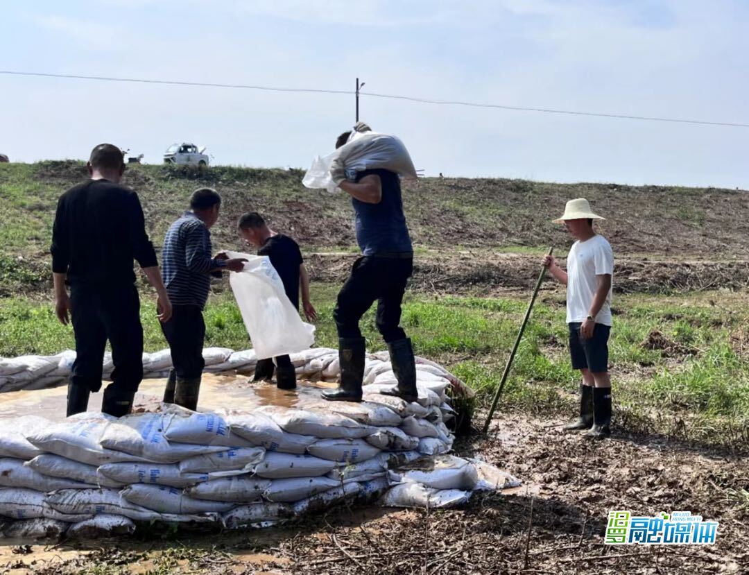 直击防汛一线丨磊石垸：1小时处置新发现管涌险情