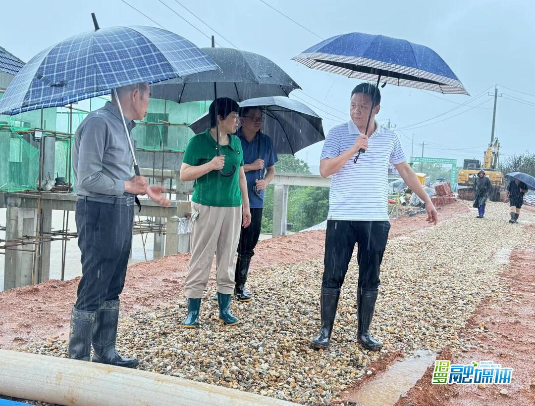 点赞！奋战防汛一线的“人大力量”