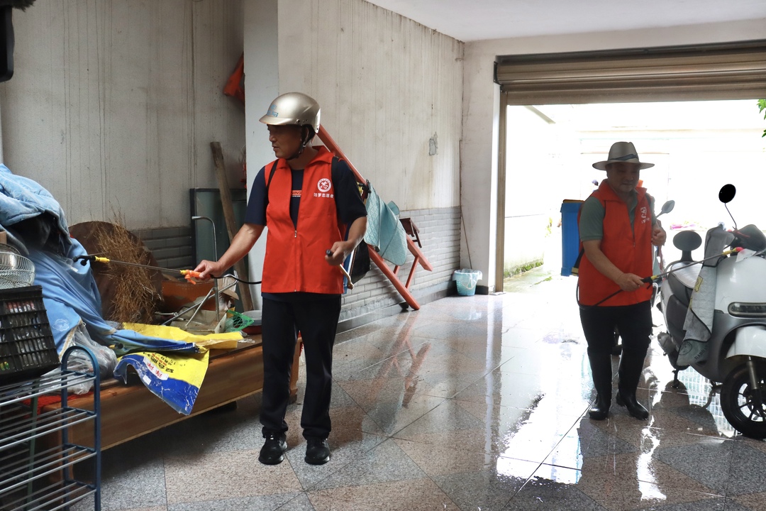 全力以“复”！“志愿红”闪耀在归义镇灾后重建一线