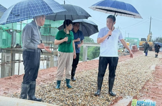 【新湖南】点赞！汨罗：奋战防汛一线的“人大力量”