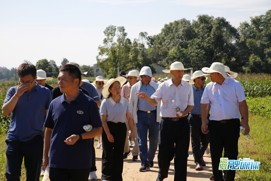 “南方稻田和旱地区耕地健康定向培育技术模式集成与示范” 启动会暨田间交流会议在汨罗召开