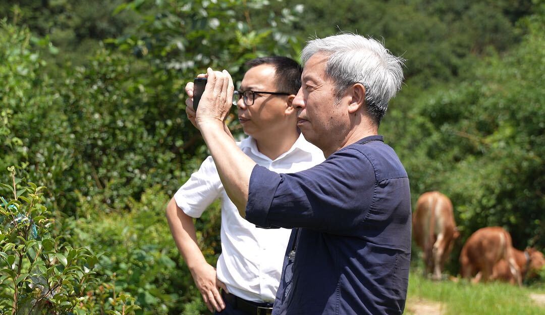 行走乡村，让文化遗产鲜活 ！湖南大学建筑与规划学院走进汨罗玉池山