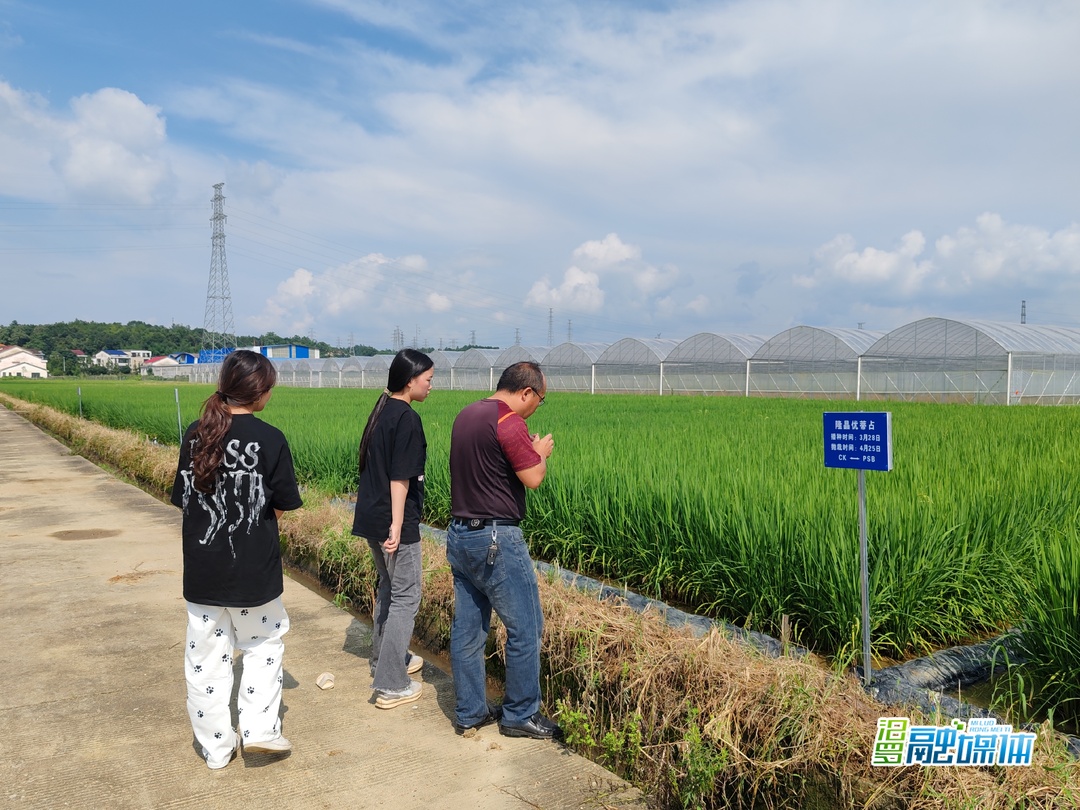 搭平台 育专才！汨罗市农业农村局组织开展基层农特岗生一线实践活动