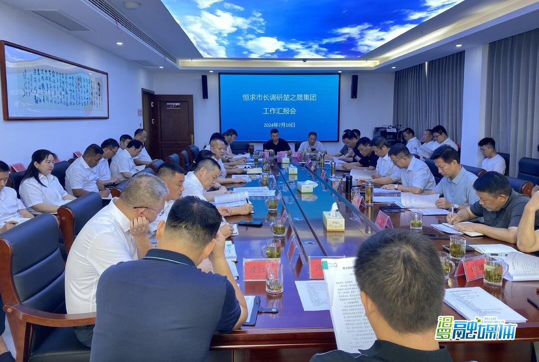 林恒求到楚之晟集团调研