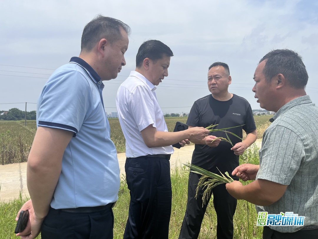 湖南省供销合作总社来汨罗视察指导灾后重建工作