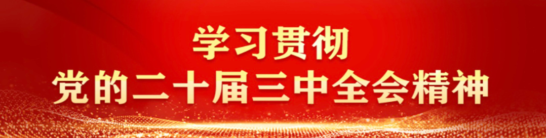 学习贯彻党的二十届三中全会精神