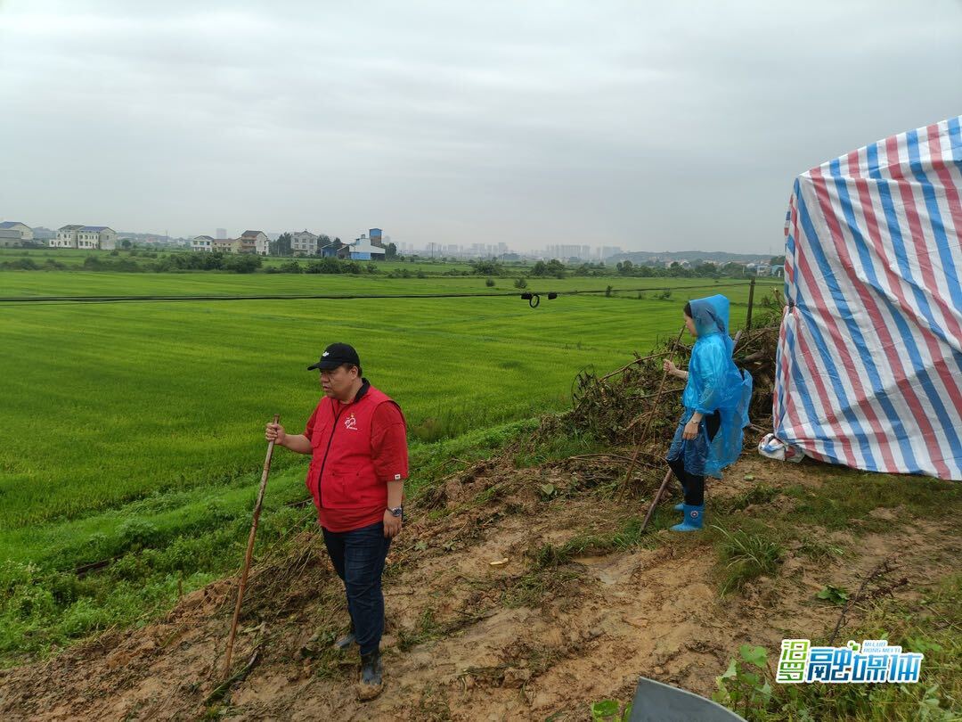 汨罗志愿者熊振：三地奔波，冲锋防汛抗灾最前线