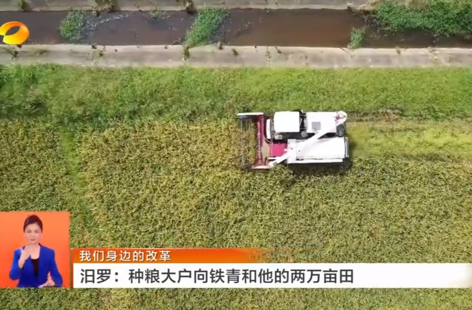 【湖南卫视】我们身边的改革 汨罗：种粮大户向铁青和他的两万亩田