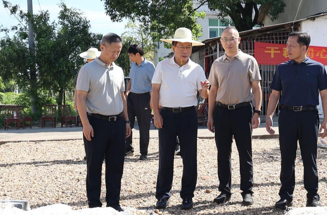 黎作凤督导汨罗市洞庭湖区堤垸防汛抗灾工作