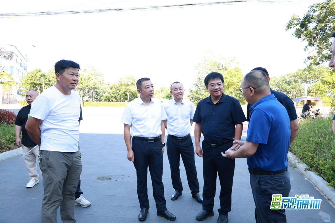 朱平波现场调研产业项目建设情况