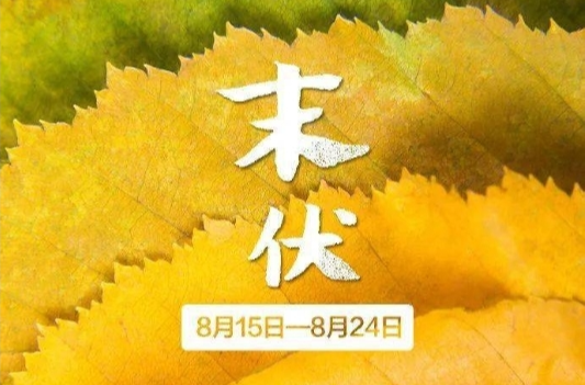 末伏来了，汨罗近几日有阵性降雨 高温强度略有减弱