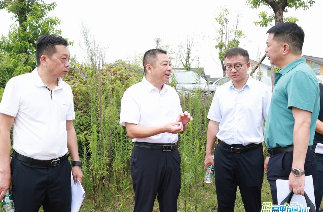 朱平波现场调度“五好两宜”和美乡村项目建设