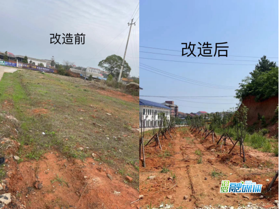 桃林寺镇东塘社区：驻点帮扶有“实招”  安置区旧貌换新颜