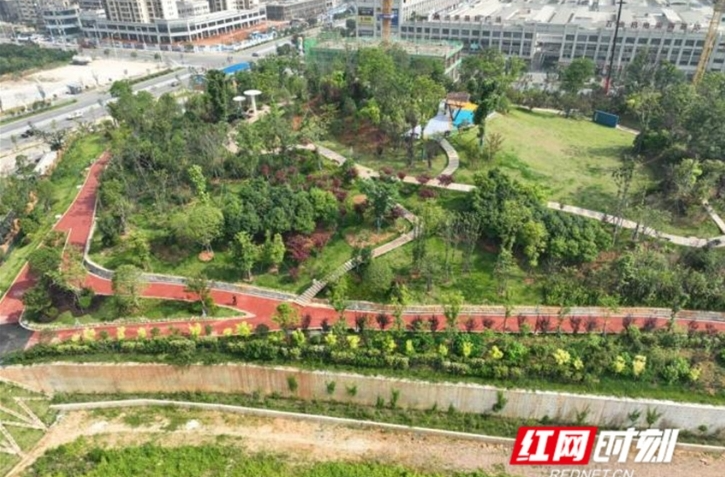 【学习强国】文明实践|让城市有“弹性”添“韧性”！解锁汨罗海绵城市建设的“生态密码”