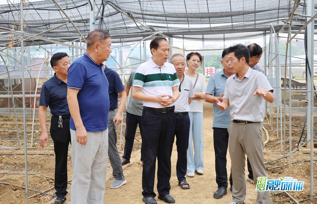 岳阳市老科协来汨罗调研
