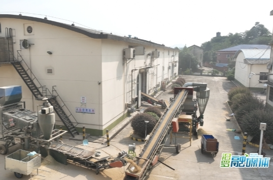 【新湖南】汨罗：智能收储让粮食收购更绿色便捷