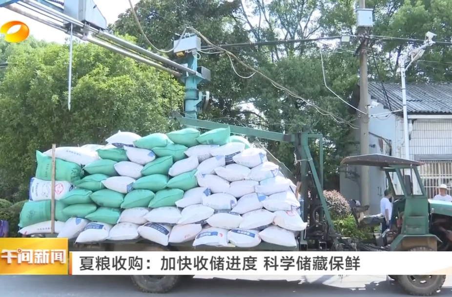 【湖南卫视】夏粮收购：加快收储进度 科学储藏保鲜