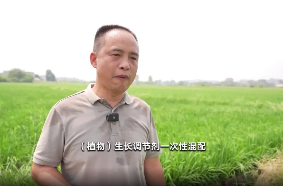 【央视频】湖南：机械化智能化防治 助力“虫口夺粮”保丰收