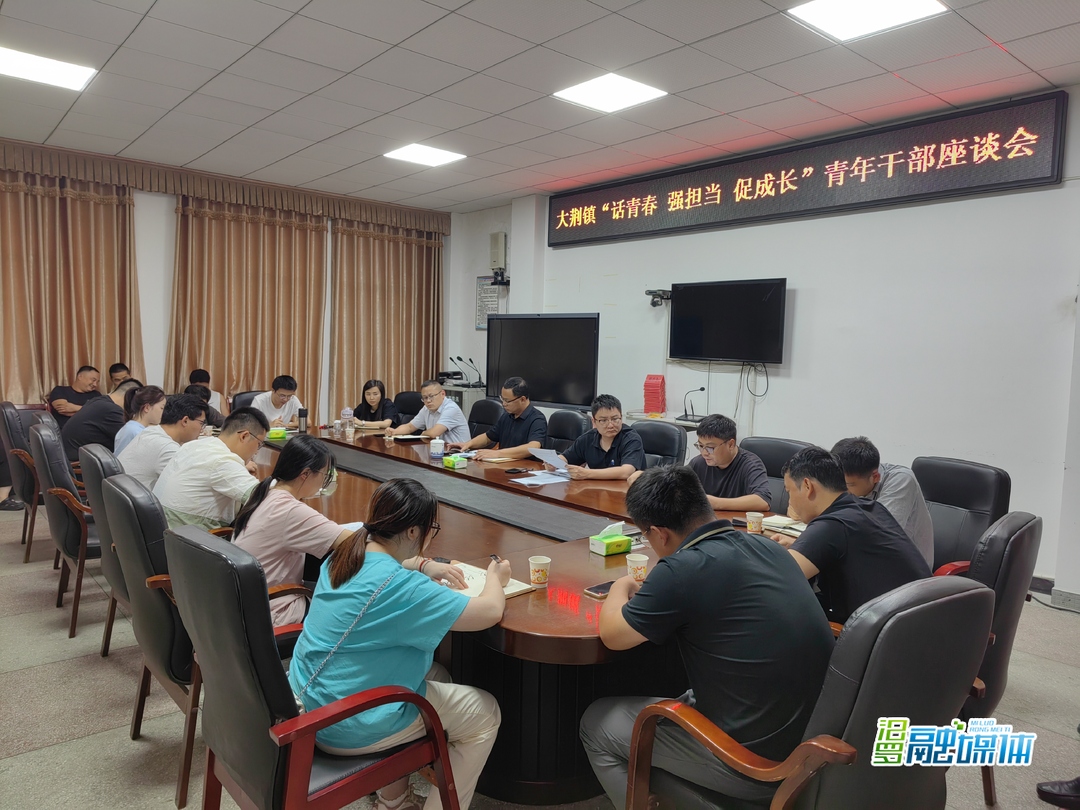 大荆镇举行青年干部座谈会