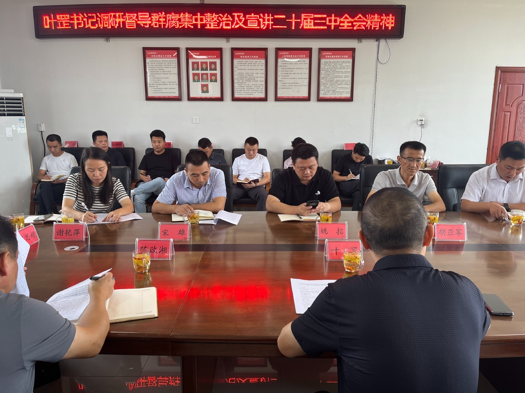 叶罡在汨罗镇调研督导群腐集中整治工作并宣讲全会精神