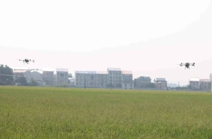 【学习强国】区县新闻丨汨罗市：“一喷多促”助力晚稻丰产丰收