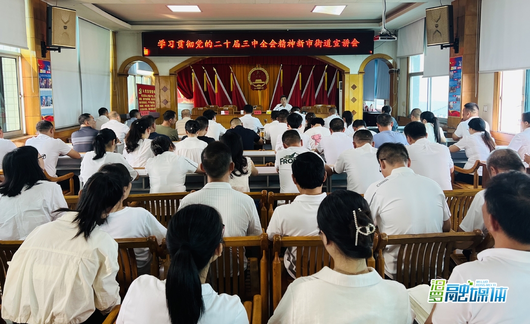 新市街道举行学习贯彻党的二十届三中全会精神宣讲会