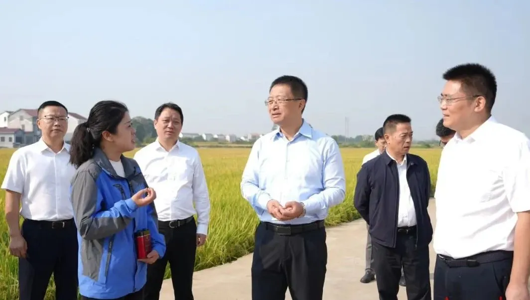 谢卫江：加快推进新型工业化和新型城镇化 更好推动县域经济高质量发展