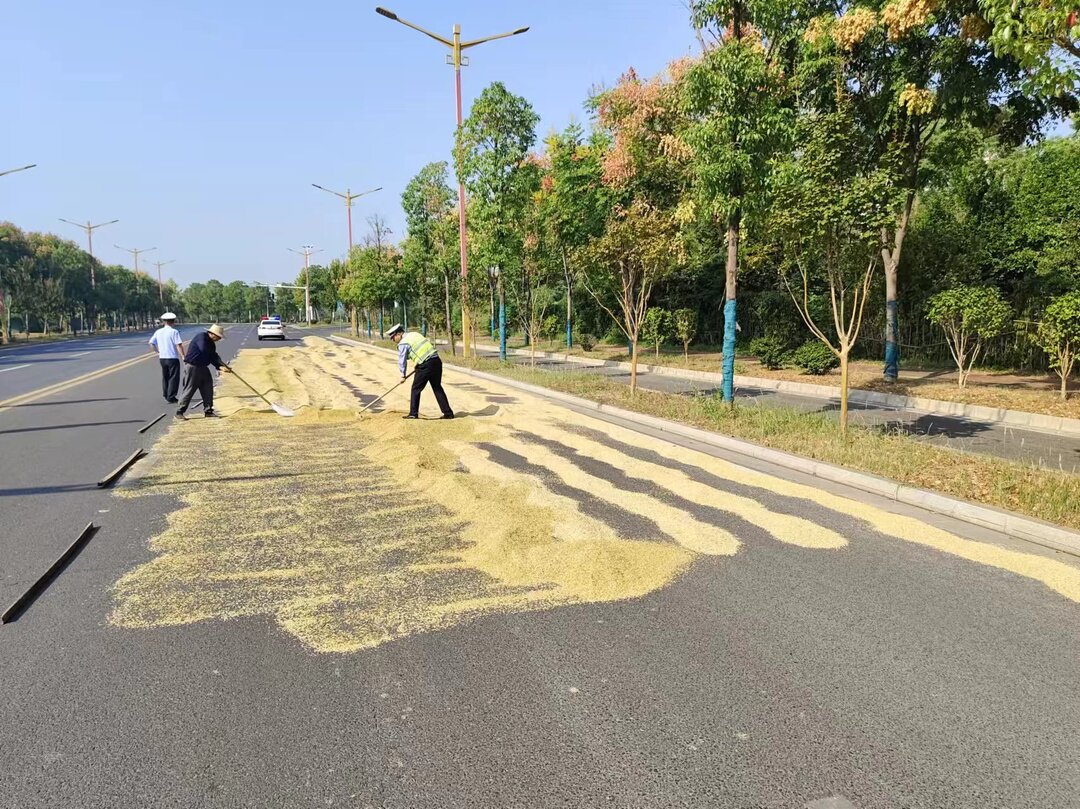 车道变成晒谷场，汨罗交警丢下哨子，拎起铲子