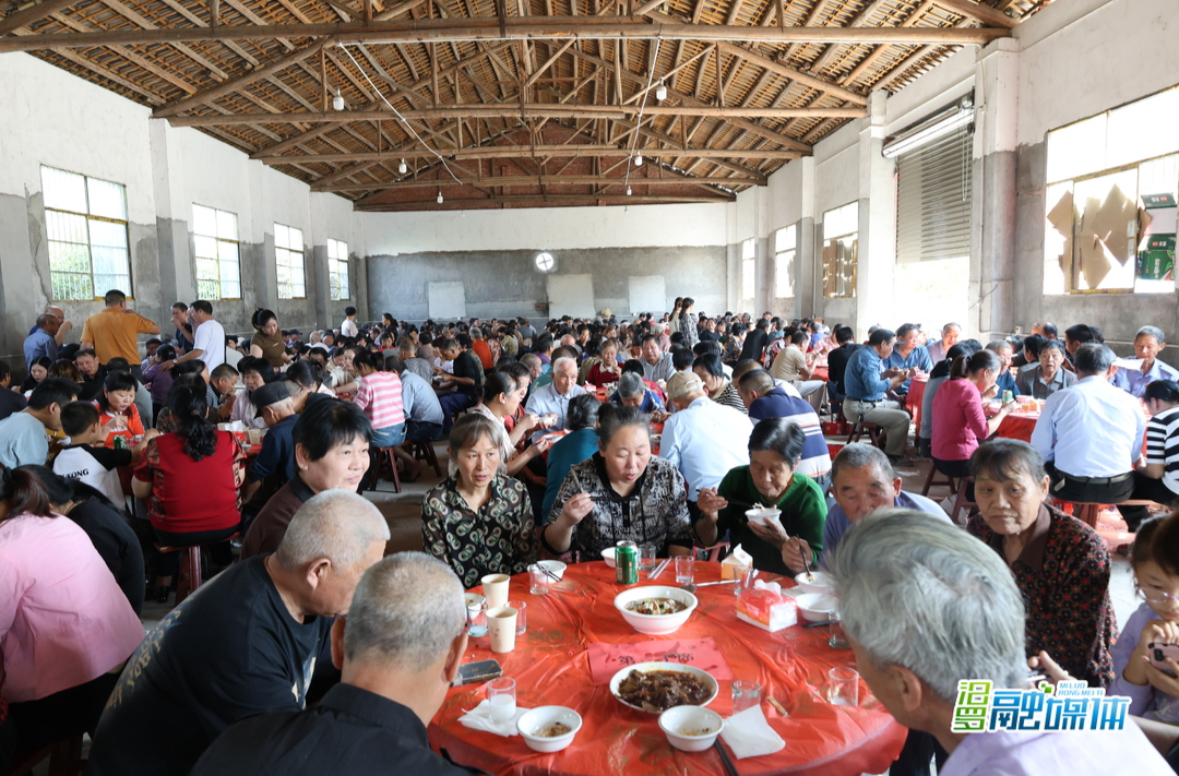汨罗镇蟠龙桥村：500多位老人精彩过重阳