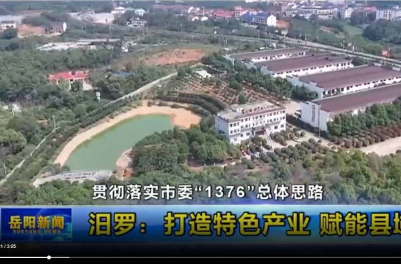 【智慧岳阳】【贯彻落实市委“1376”总体思路】 汨罗：打造特色产业 赋能县域发展