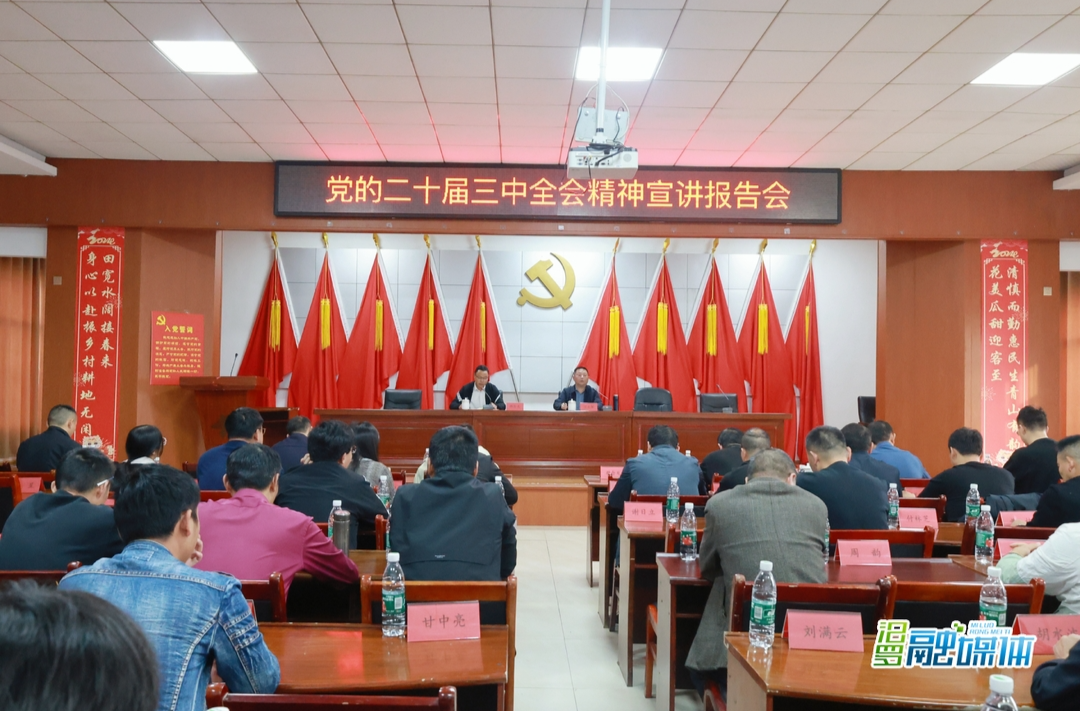 艾志军到大荆镇宣讲党的二十届三中全会精神