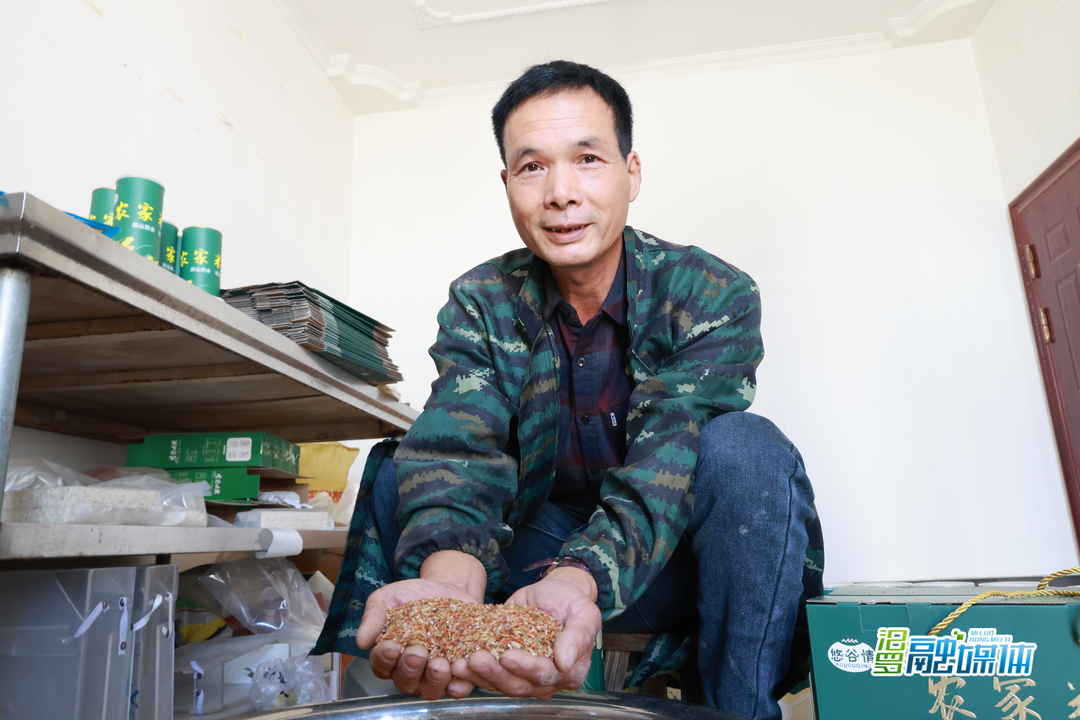 汨罗鹅江村富硒红糯米首次丰收 销量走俏