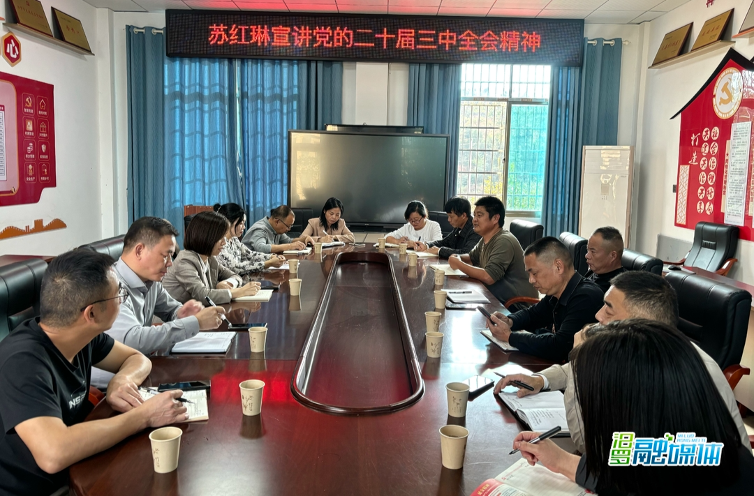 苏红琳到古培镇宣讲党的二十届三中全会精神，调研基层减负整治情况