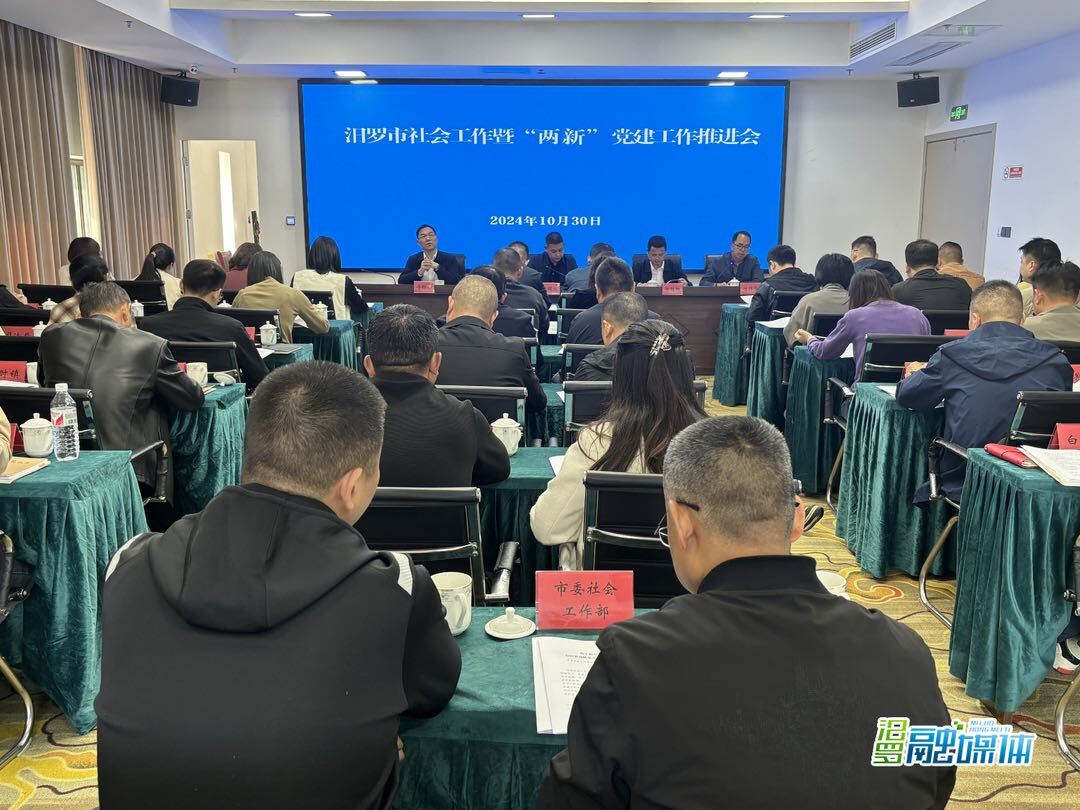 汨罗市召开社会工作暨“两新”党建工作推进会