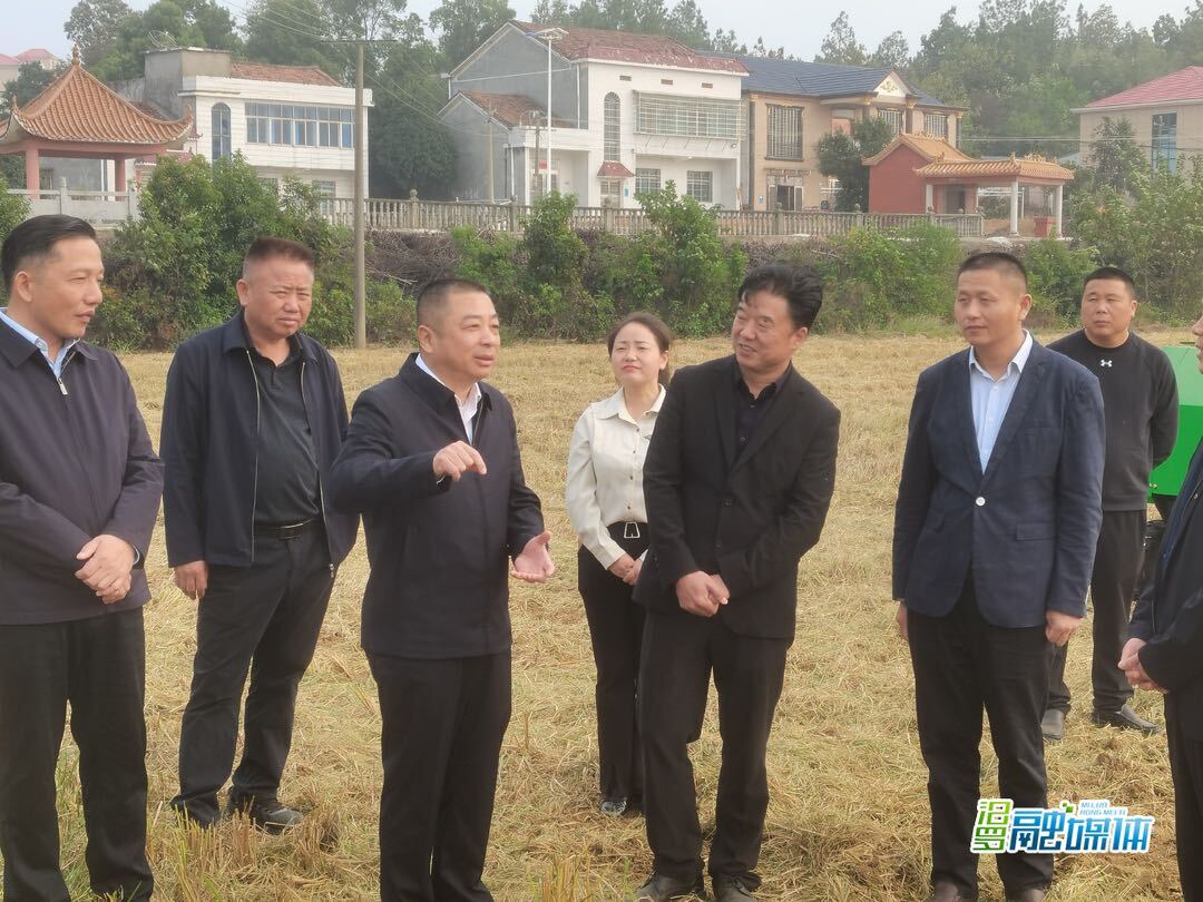 朱平波到高丰村调研秸秆综合利用及禁烧工作