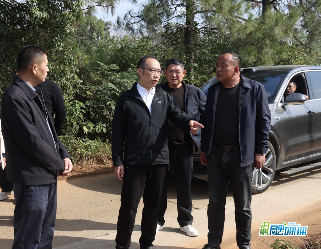 叶罡到桃林寺镇调研督导乡村振兴工作