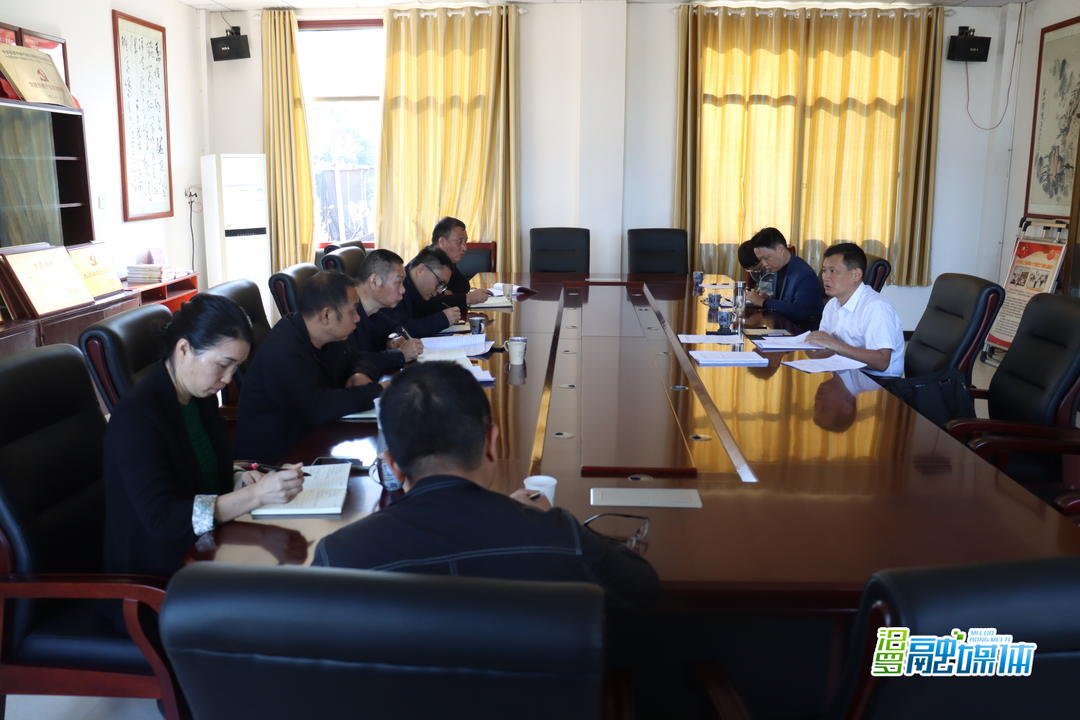 李亚江督导新市街道巩固拓展脱贫攻坚成果同乡村振兴有效衔接工作