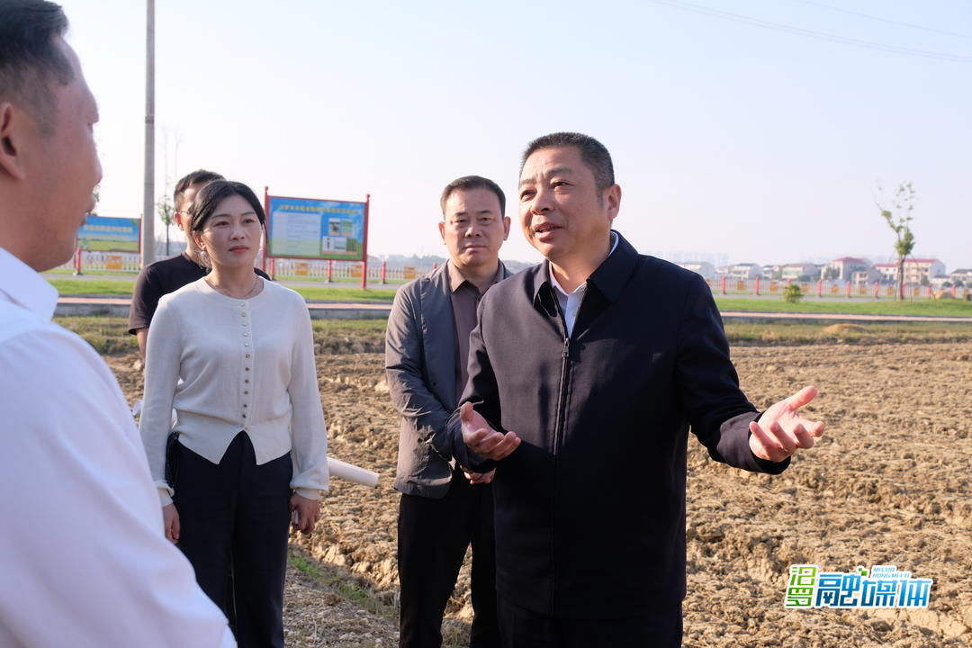 朱平波到古培镇南环村调研粮食单产提升及农业科技工作