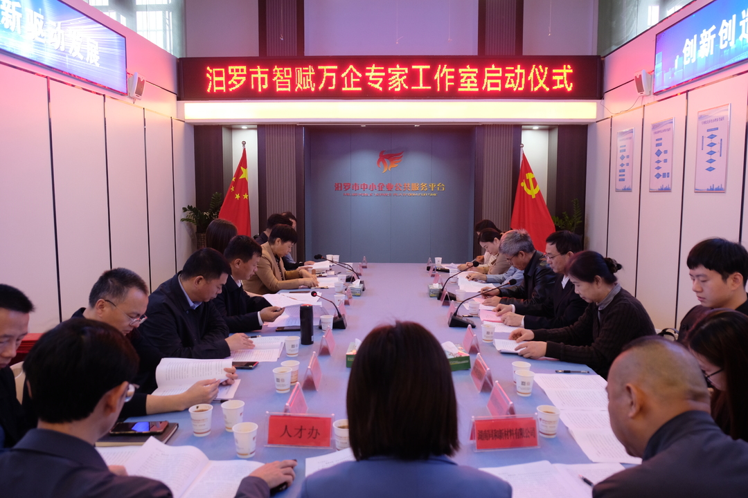 汨罗市智赋万企专家工作室启动